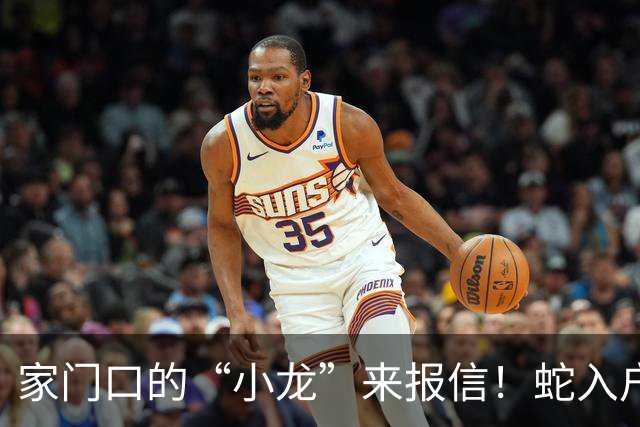 家门口的“小龙”来报信！蛇入户的三大秘密信号